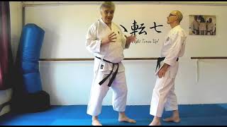 Jitte Bunkai Strategies 2023 week 41 koryu karate oyo jutsu [upl. by Nnylatsirk]