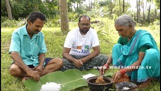 CATCHING AND COOKING QUIAL BIRD  KAMJUPITTA 🐦 GRAVY RECIPES  PITTA MAMSAM  VILLAGE STYLE COOKIN [upl. by Lemej677]