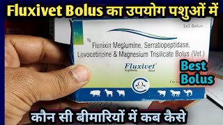 Fluxivet BolusFlunixin meglumine Serratiopeptidase Levocetirizineकब कैसे कौन सी बीमारी में [upl. by David]