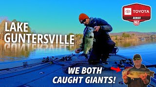 LAKE GUNTERSVILLE Toyota Series  We Caught GIANTS [upl. by Burrows]