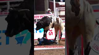 Calgary Stampede Rodeo 2024  Day 1  070524 [upl. by Aleacim652]