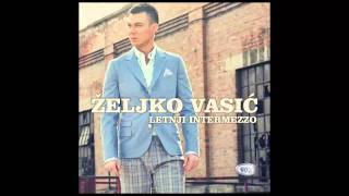 Zeljko Vasic  Zauvek  Audio 2013 HD [upl. by Ayifas]