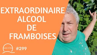 299Extraordinaire alcool de framboises [upl. by Emalee]