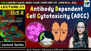 Immunology Antibody Dependent Cell Cytotoxicity ADCC  Lecture31 [upl. by Hakceber]