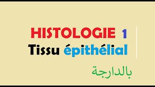 cours HISTOLOGIE Ep 1  Tissu épithélial [upl. by Lissak]