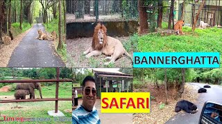 Bannerghatta national park banglore safari  Bannerghatta Safari  Timings  Entry Ticket Price [upl. by Wise]