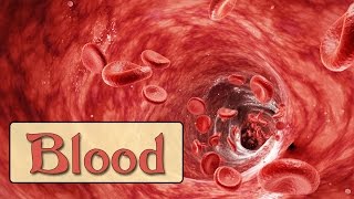 Easy Physiology  Blood  1Hemostasis amp Coagulation Cascade [upl. by Duval194]