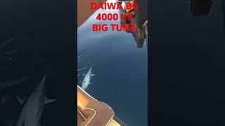 DAIWA BG 4000 VS BIG TUNA [upl. by Annaert]