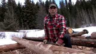 Log Home Construction  Log Preparation Phase [upl. by Filmore]