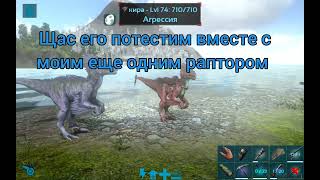 приручаем раптора   по заданию  пишите в коммах кого ещё приручить 👇  ark mobile [upl. by Zinah585]