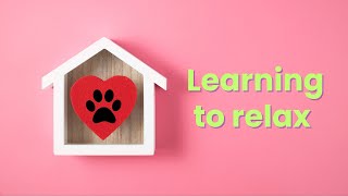 How to help your fearful dog relax at home [upl. by Yeliab158]