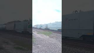 Up railcars with chrismiss drawing on it at Galveston sub railfan [upl. by Holub235]