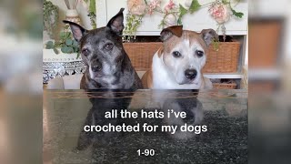 All the hats I’ve crocheted for my dogs 190 cute and funny freehanded crochet patterns [upl. by Sirois]