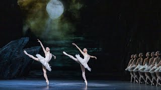 Insights The Royal Ballet in Rehearsal  Swan Lake [upl. by Anial]