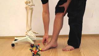 Posture Training 3 The forefoot strike  Natural walking for pain relieve [upl. by Pen215]