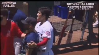 cosas que pasan en el béisbol parte 3 [upl. by Ellehsem]