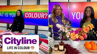 Tuesday November 14  Cityline  Full Episode [upl. by Gnouv]