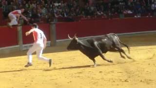 Concurso de recortadores Zaragoza 09102016  David Morella y Roberto Constanza [upl. by Roz]