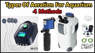 Types Of AerationFilters For Aquarium  Hornfishnation [upl. by Aivle604]