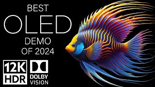 BEST OLED DEMO OF 2024  DOLBY VISION 12K HDR 120fps [upl. by Ardnoet185]