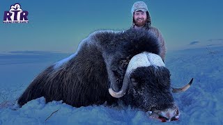 My Dream Hunt MuskOx Hunting 2023 [upl. by Briana260]