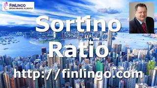 Sortino Ratio How to Calculate the Sortino Ratio [upl. by Rog]