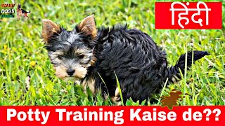 Puppy Potty Training in 3 Days Hindi  Smart Dogs training [upl. by Connolly]