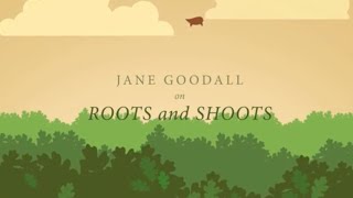 Roots amp Shoots Radici e Germogli Perchè Jane Goodall risponde [upl. by Blatman]