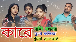 কলিজাপুইরা হয়ল ছাই বাংলা ছেটগান kolija puira hoilo Sai singair Faruk and Musfika NRG Music Company [upl. by Macegan]