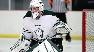 Williston State vs Dakota College Bottineau Hockey [upl. by Fridlund]