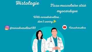 tissu myocardique histologie 1ère année medecine et medecine dentaire [upl. by Bale429]