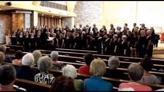 Donna Rhodenizer  One Small Voice  Fredericton Ladies Choir [upl. by Enrique809]