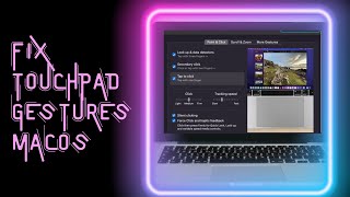 How to fix trackpad gestures on macOS [upl. by Oiramad]