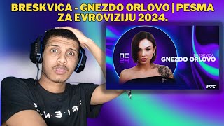 FIRST TIME REACTING TO  Breskvica  Gnezdo orlovo  Pesma za Evroviziju 2024 [upl. by Aerbma494]