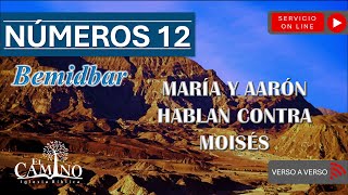 NÚMEROS 12  MARÍA Y AARÓN HABLAN CONTRA MOISÉS [upl. by Harshman837]