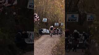 Van der Poel volaba 😳🦅 ciclismo vanderpoel increible volar [upl. by Mohammed]