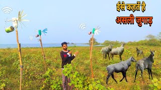 अब ईतने सारे जुगाड़ सभी जानवरों को भगा देंन्गे  Deshi Jugad  khet se Jangli Janwaro ko bhagaye [upl. by Oilasor]