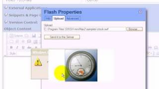 Adding Flash Animation to Your Website [upl. by Marylinda]