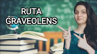 RUTA GRAVEOLENS HOMOEOPATHIC MEDICINEEXPLAINED WITH ALLEN KEYNOTES DRDEEKSHA [upl. by Elehcir791]