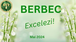 BERBEC MAI 2024  EXCELEZI TRANSFER SAU SCHIMBARE O IDEE EXCELENTA [upl. by Caylor]