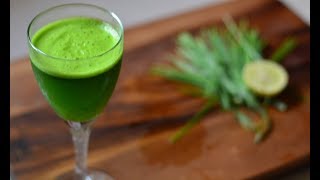 Wheat Grass Juice  Healthy Detoxifying Recipe  Gurus Cooking [upl. by Matronna]