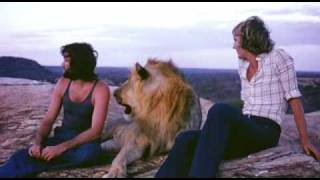 Christian The Lion  clip from the new documentary [upl. by Ahsrat]