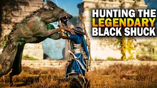 Hunting The Legendary Animal The Black Shuck Assassins Creed Valhalla Legendary Animals [upl. by Nivri640]