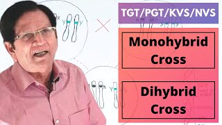 Monohybrid Cross amp Dihybrid Cross  TGTPGTKVSNVS [upl. by Thorley492]