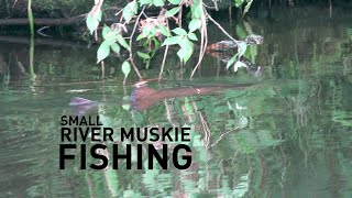 Small River Musky Fishing in Central Wisconsin [upl. by Omrellug]