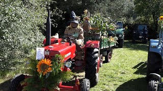 Historisches Erntedankfest in Blankenheim Dollendorf am 24092023 [upl. by Eissirk401]