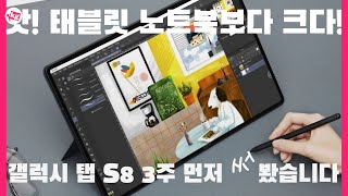 앗 태블릿 노트북보다 크다 갤럭시 탭 S8 시리즈 3주 먼저 써 봤습니다 4K [upl. by Eeldivad415]