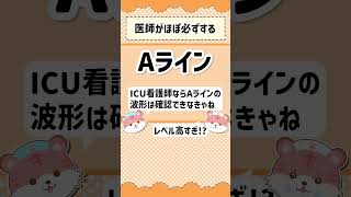 『Aライン』わかる？ 看護師 医療用語 クイズ [upl. by Elaina]