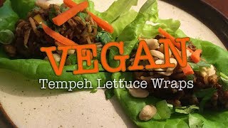 Tempeh Lettuce Wraps [upl. by Ajin]