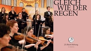 JS Bach  Recitative quotMein Gott hier wird mein Herze seinquot from Cantata BWV 18 [upl. by Aneeras]